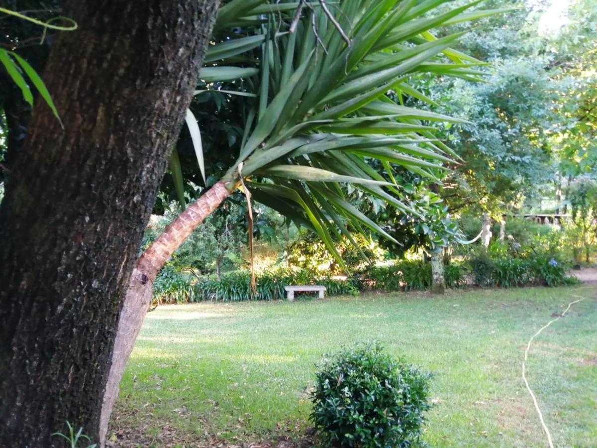 Vila Casina Os Lueiro Portas Exteriér fotografie